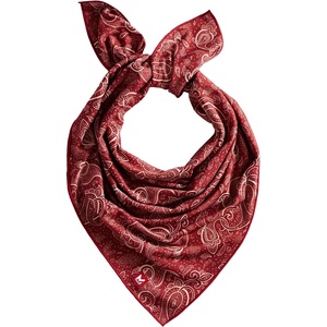 image:imageMISSION Cooling Bandana  Lightweight amp Breathable  Cools Up to 2 Hours  UPF 50 Sun Protection  Machine WashableRed Paisley